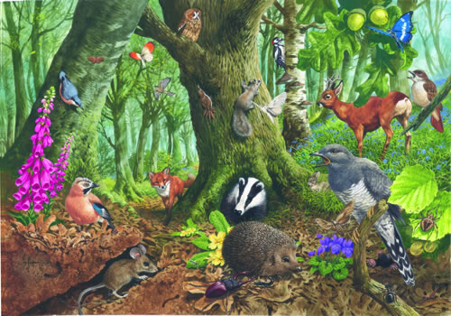 Woodland Creatures Jigsaw Puzzle 1000 Pieces