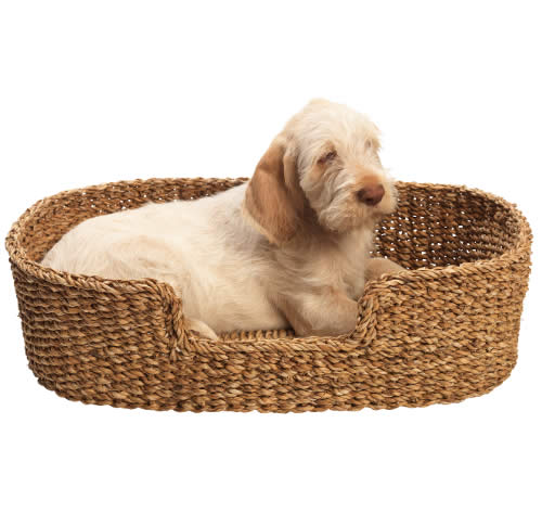 Fair Trade Pet Basket