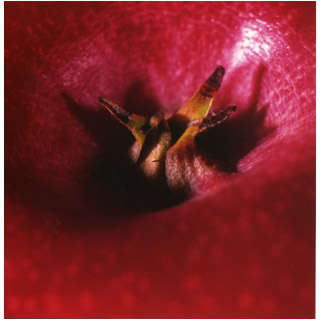Apple Detail small 2111