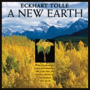 A New Earth Calendar 2011