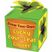 Grow Your Own Four Leaf Clover