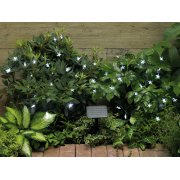 Solar Star Lights 100 LEDs