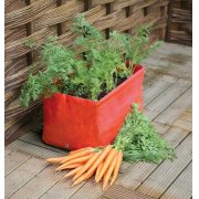 Carrot Patio Planters