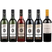 Box of 6 Fairtrade Wines