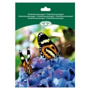 Seeds for Butterflie