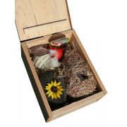 Nest Pocket & Treats Hamper