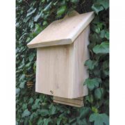 Bat Box