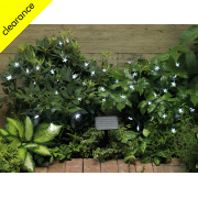 Solar Star Lights 100 LEDs