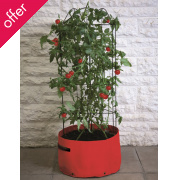 Tomato Climbing Patio Planter