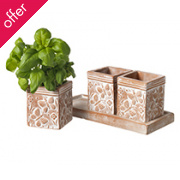 Butterfly Terracotta Herb Pots