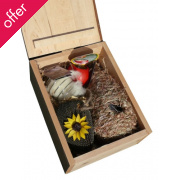 Nest Pocket & Treats Hamper