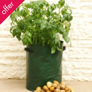 Potato Planters - Pack of 3