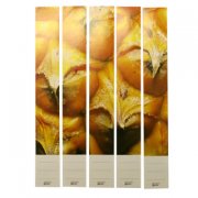 Fair Trade Pineapple Spine Labels (5)