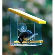 Window Bird Feeder
