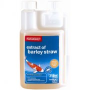 Extract of Barley Straw - 250ml