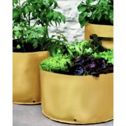 Vegetable Patio Planters - Pack of 3