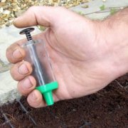 The Magic Seeder