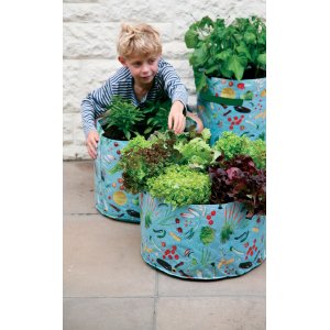 Vegetable Patio Planters for Children - Pack of 3