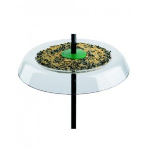 Giant Seed Tray Squirrel Guard for Garden Pole
