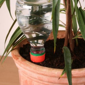 Plant Watering Spikes - Pack of 6