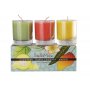 Stella Mare 3 Mini Votive Candles - Tropical