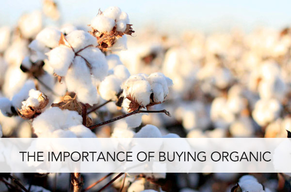 The Importance of Buying Organic