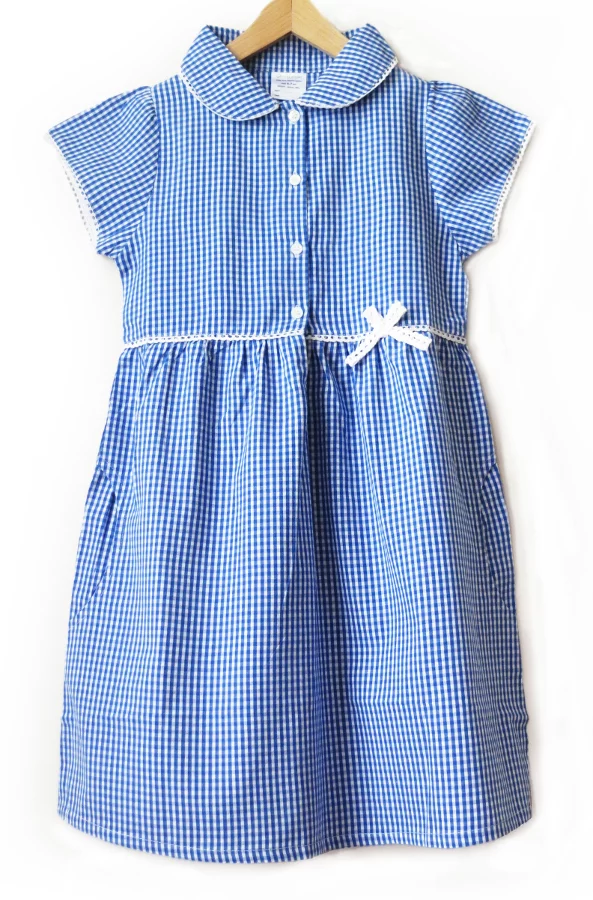 Girls blue 2025 gingham school dress