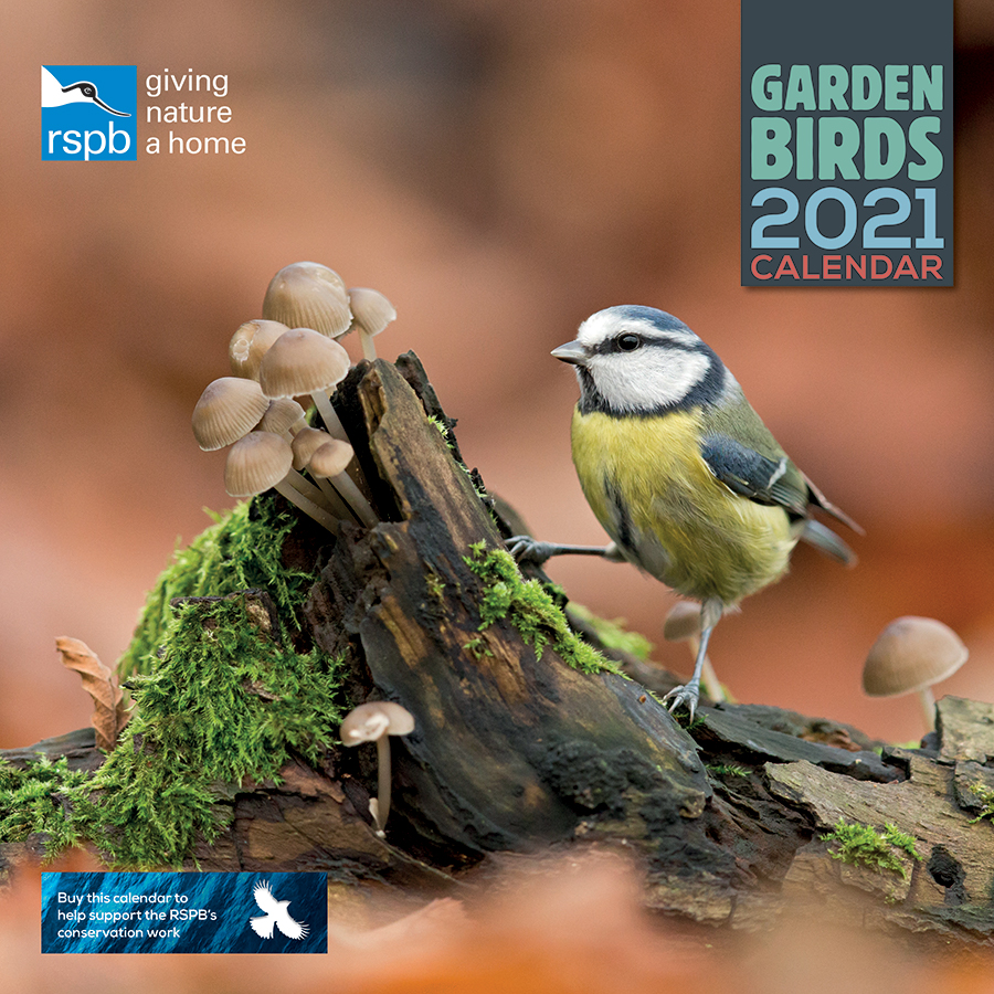 RSPB British Garden Birds 2021 Wall Calendar RSPB