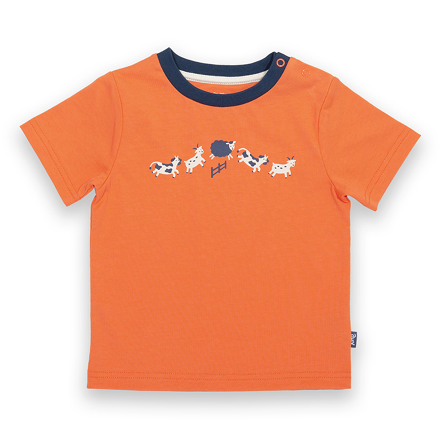 Kite Farm Fun T-Shirt - Orange
