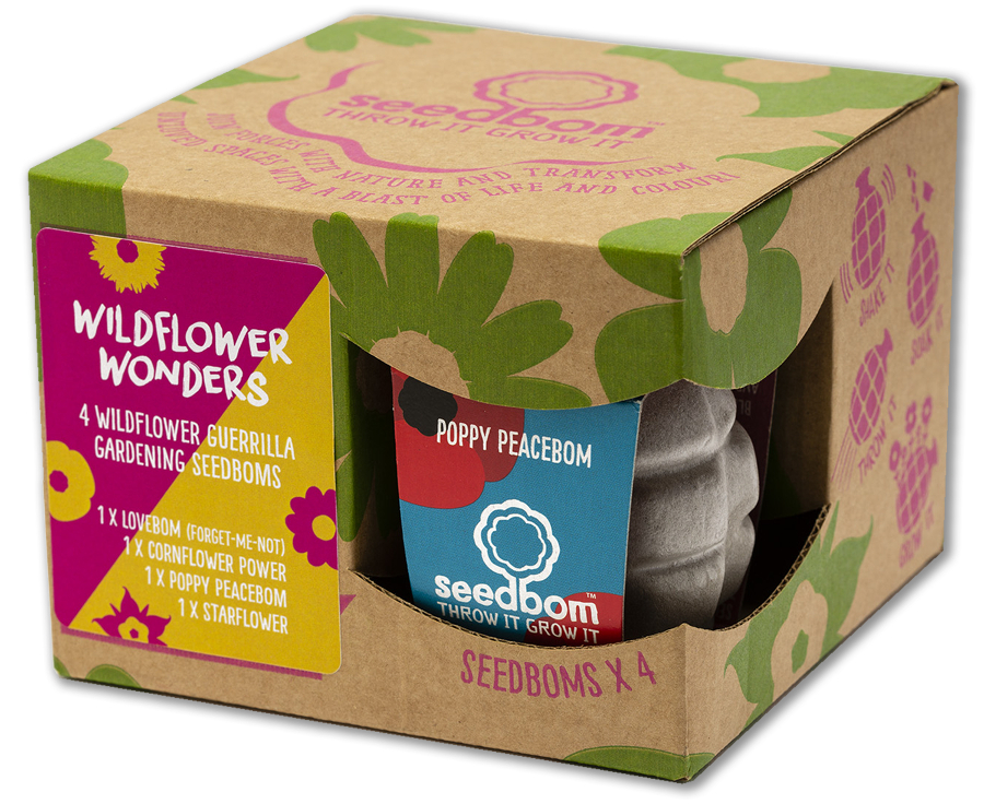 Kabloom Seedbomb Gift Set of 4 - Wildflower Wonders
