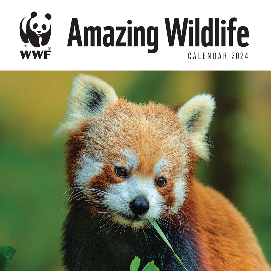 WWF Amazing Wildlife 2024 Wall Calendar