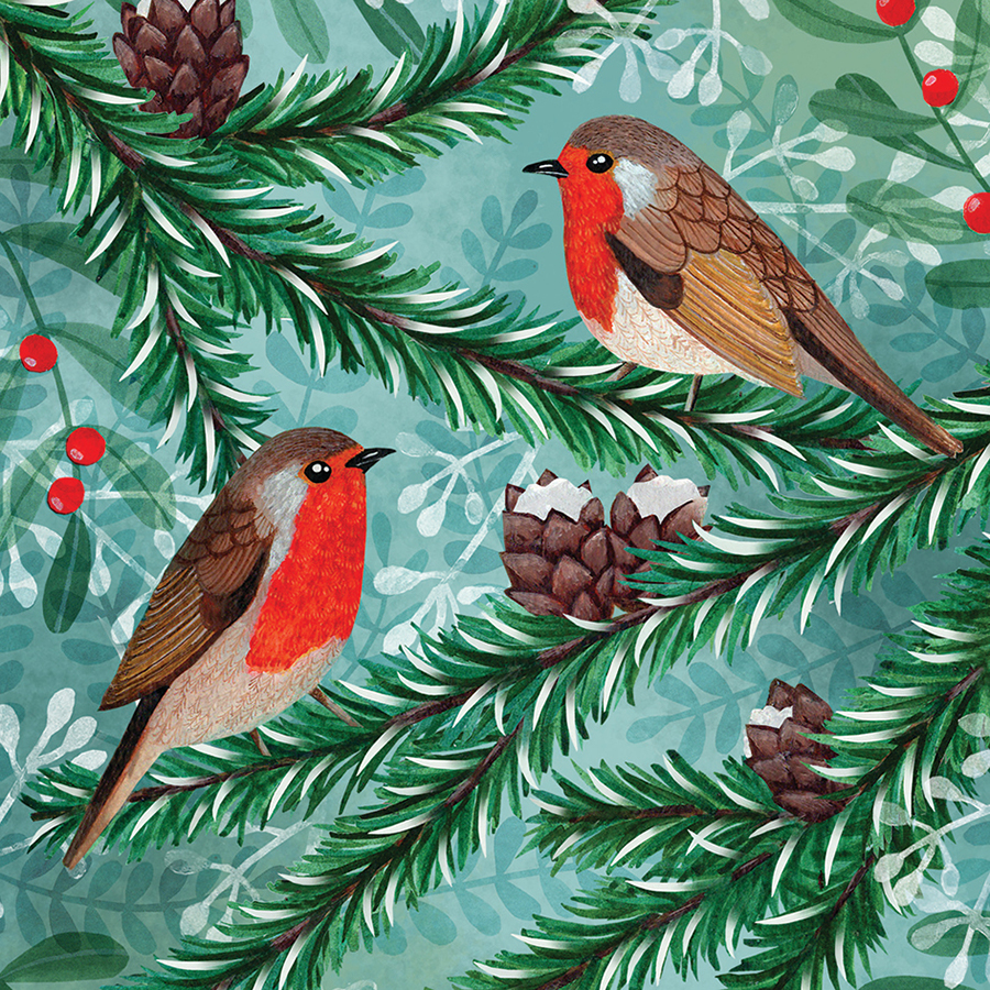 RSPB Winter Forest Birds Christmas Cards Pack of 10 RSPB