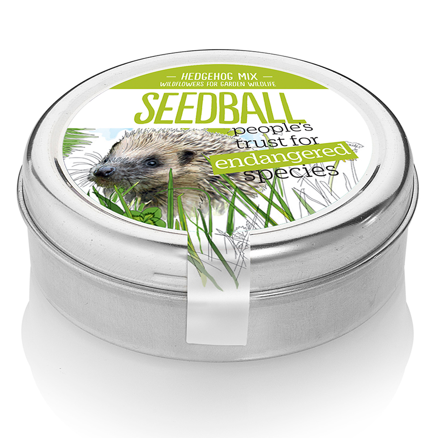 Hedgehog Mix Seedball Tin