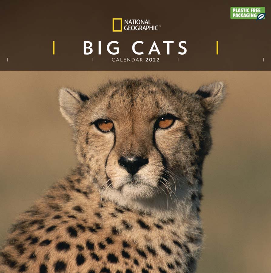 National Geographic Big Cats 2022 Wall Calendar - National Geographic
