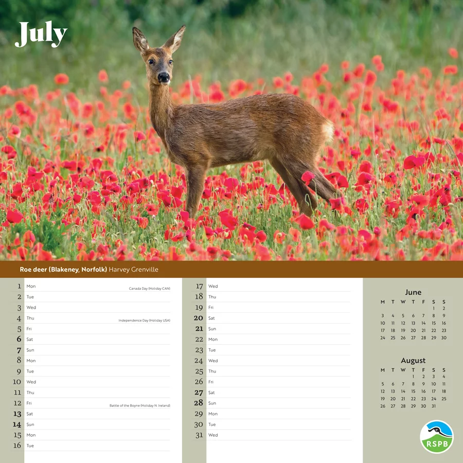 RSPB Household Planner Wall Calendar 2024
