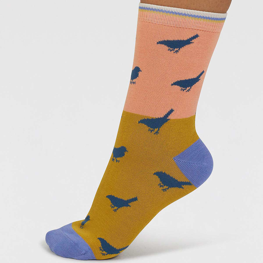 Thought Coral Birdie Colour Block Bamboo Socks - UK4-7