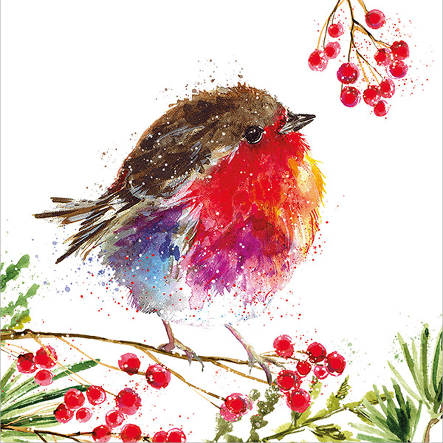 Transform Trade Fluffy Robin Charity Christmas Cards - Pack of 10