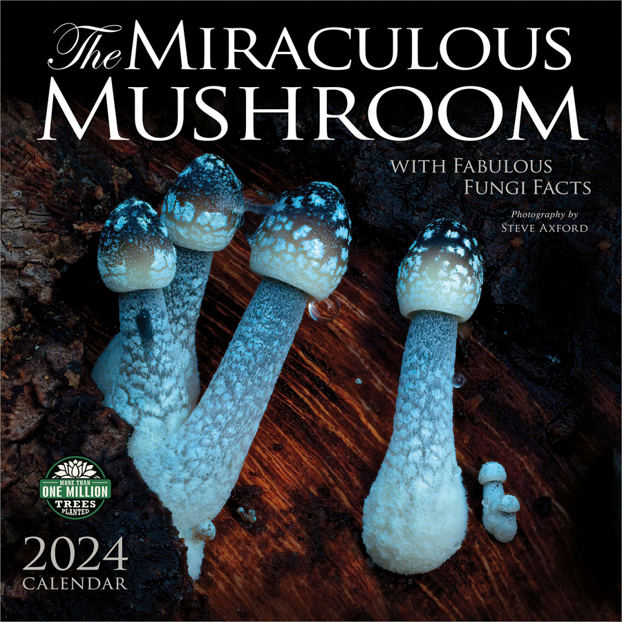 Miraculous Mushrooms 2024 Wall Calendar Amber Lotus   589627 Miraculous Mushrooms 2024 1 