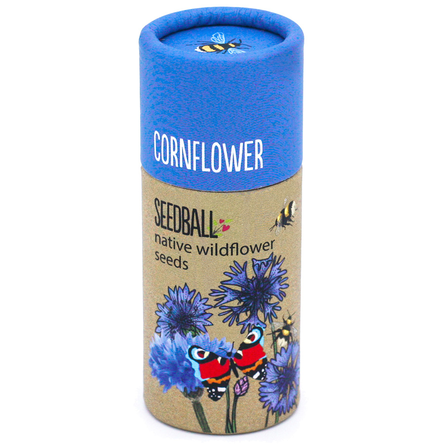 Seedball Tube - Cornflower