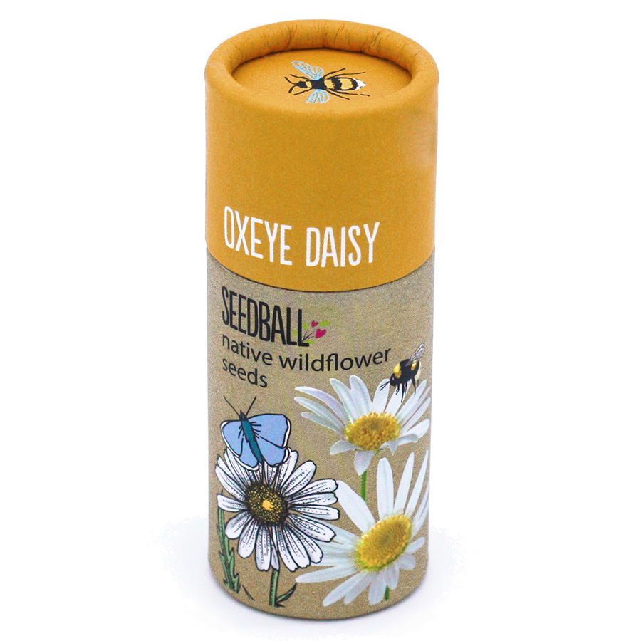 Seedball Tube - Oxeye Daisy