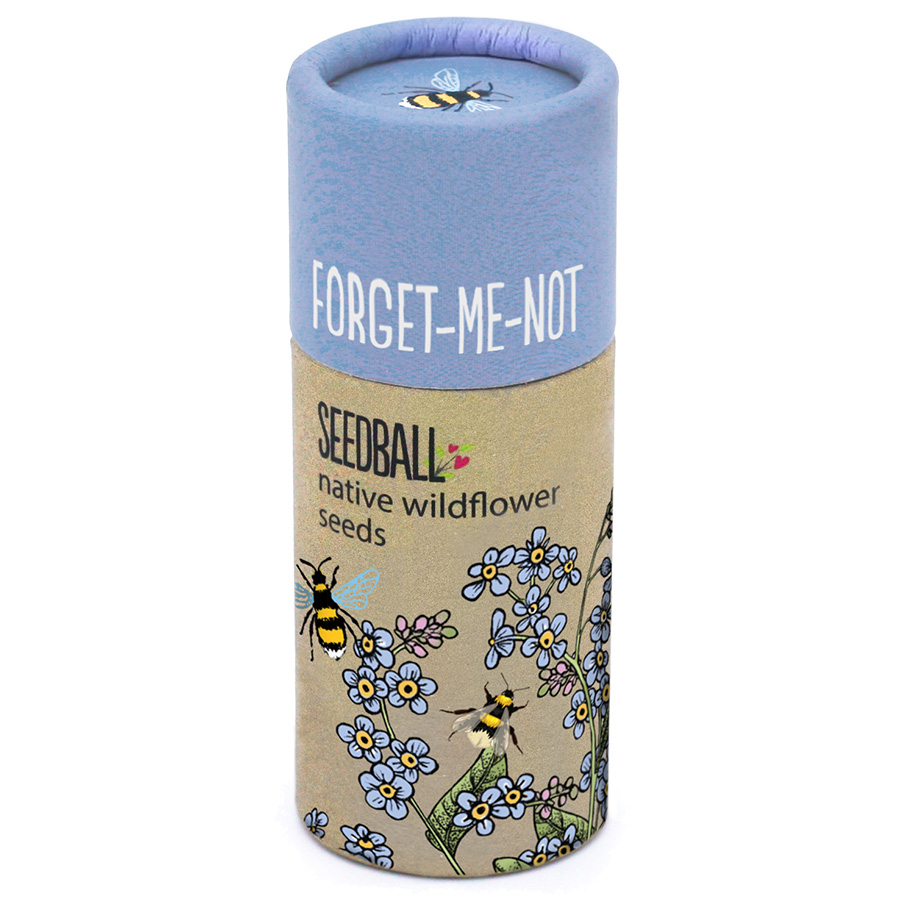 Seedball Tube - Forget-Me-Not