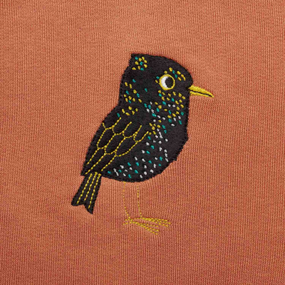 Matt Sewell Womens Starling Sweatshirt - Pheasant