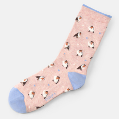 Thought Fluffy Robin Organic Cotton in Hangable Sock Gift Box - UK 4-7