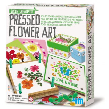 Green Creativity Pressed Flower Art