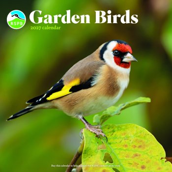 RSPB Garden Birds 2027 Wall Calendar