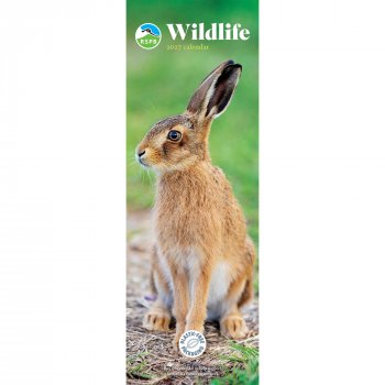 RSPB British Wildlife 2027 Slim Wall Calendar