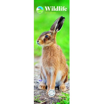 RSPB British Wildlife 2027 Slim Wall Calendar