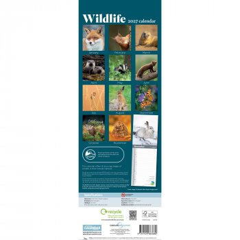 RSPB British Wildlife 2027 Slim Wall Calendar