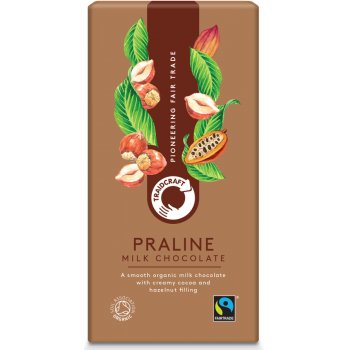 Traidcraft Fairtrade Organic Milk Chocolate with Praline - 100g