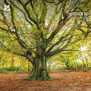 National Trust Seasons 2027 Wall Calendar